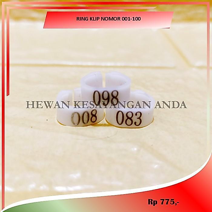 RING BURUNG MERPATI RING JEPIT GELANG KAKI BURUNG MERPATI DARA