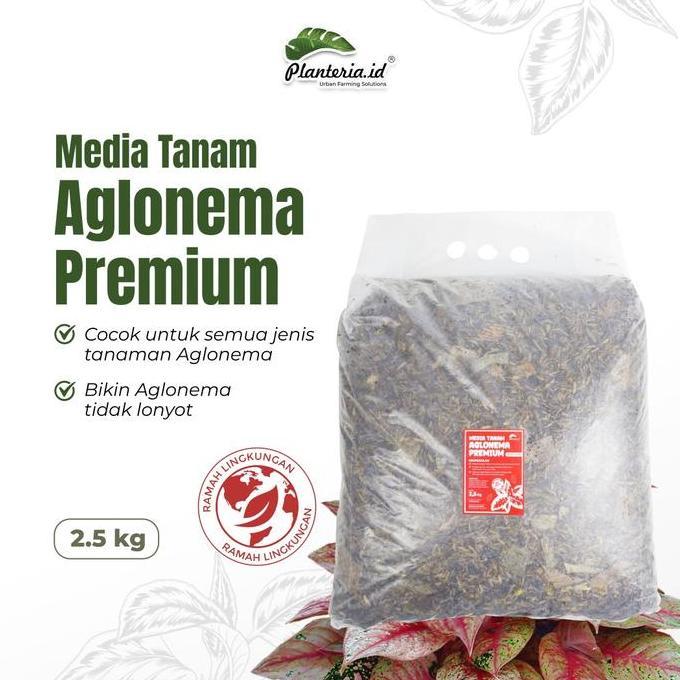 MEDIA TANAM AGLONEMA FERMENTASI MEDIA TANAM PREMIUM 2,5KG BY PLANTERIA.ID TANAH TANAMAN