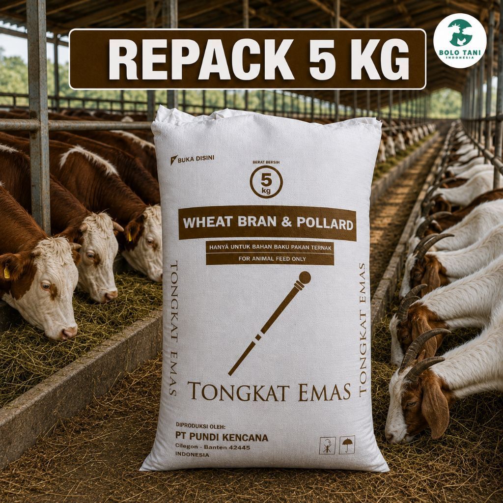 BRAN POLLARD 5kg TONGKAT EMAS - REPACK 5 KG - POLAR TONGKAT EMAS - POLAR PAKAN SAPI - POLAR PAKAN KA