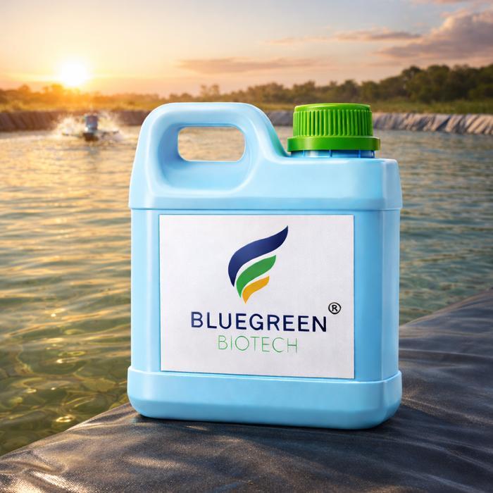 Probiotik Tambak Udang BlueGreen Biotech