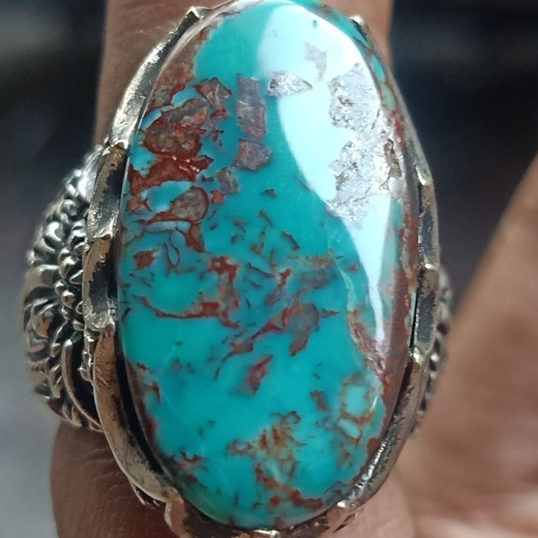 natural pirus Persia polos
