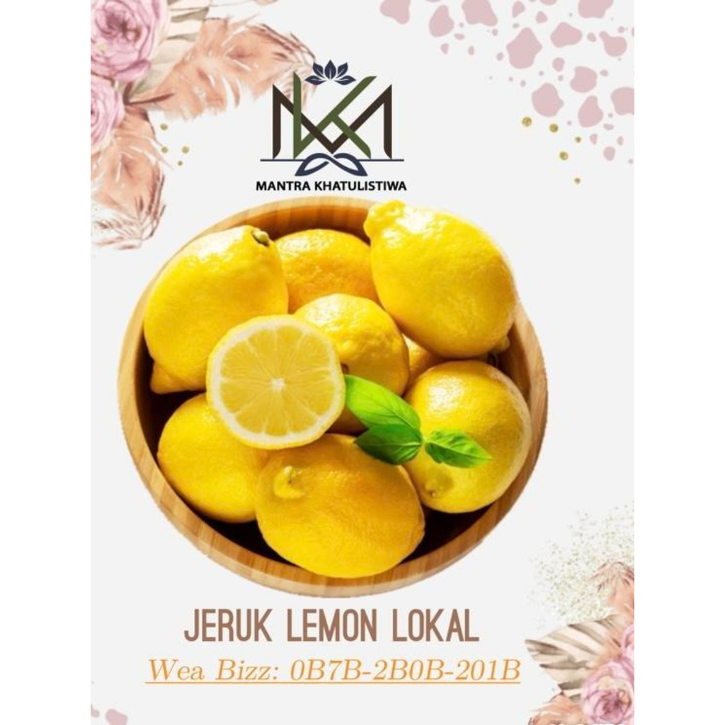LEMON IMPORT FRESH JERUK LEMON IMPORT FRESH SEGAR
