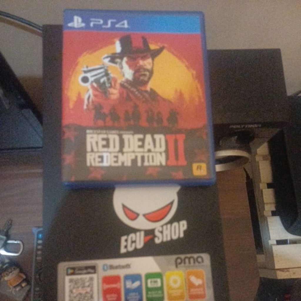 PS4 Red Dead Redemption 2 Second Murah BD