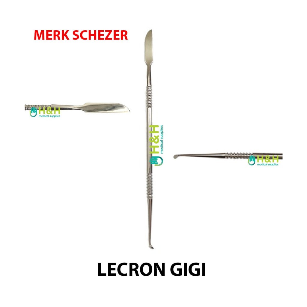 Lecron Gigi / Dental Lecron / Lecron Skills Lab Gigi