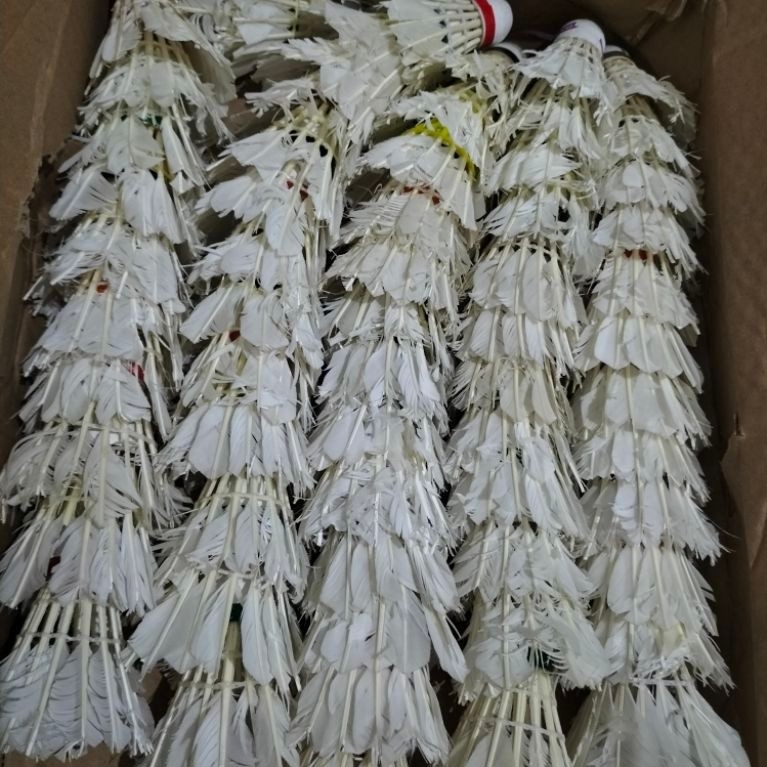 6pcs shuttlecock kok badminton bekas kok bulutangkis