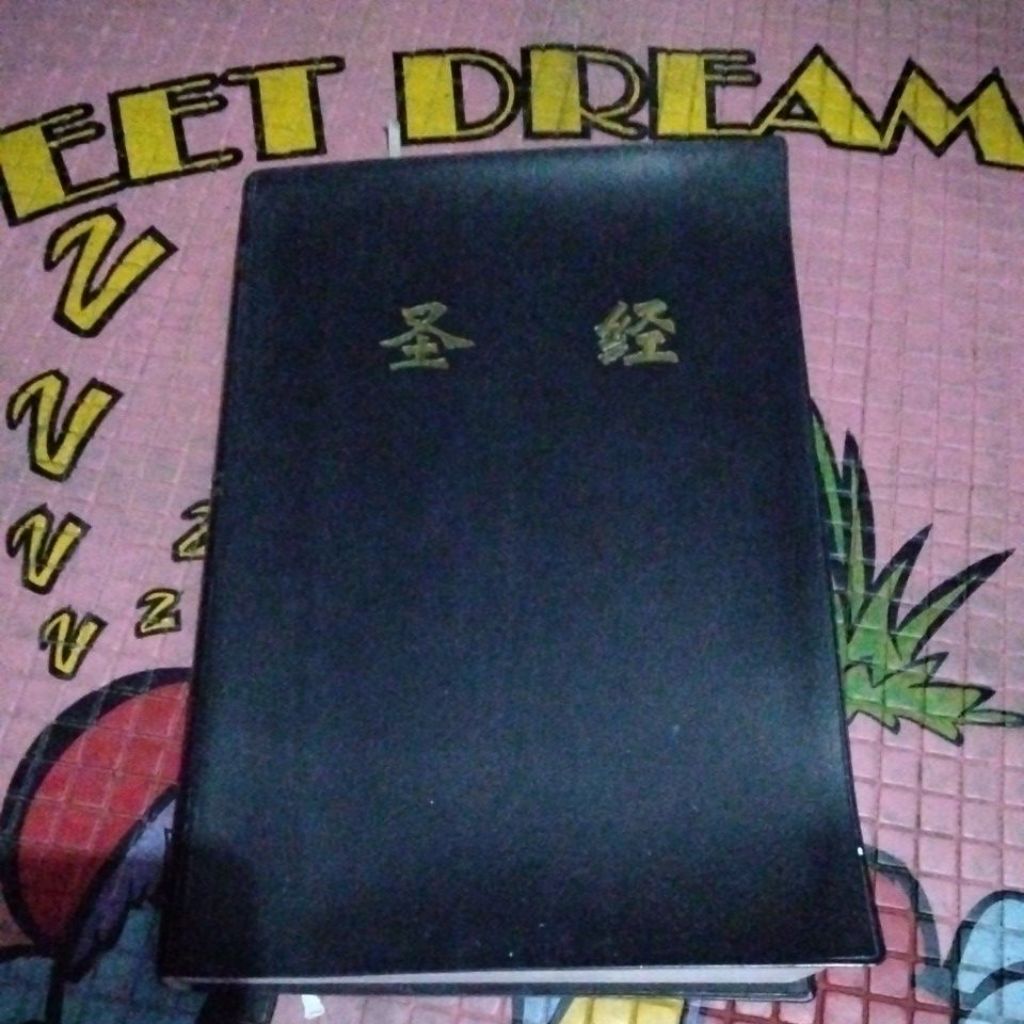 ALKITAB DENGAN BAHASA MANDARIN