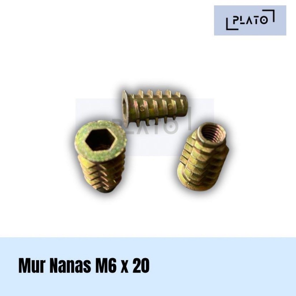 Mur Nanas / Mur Tanam M6x20