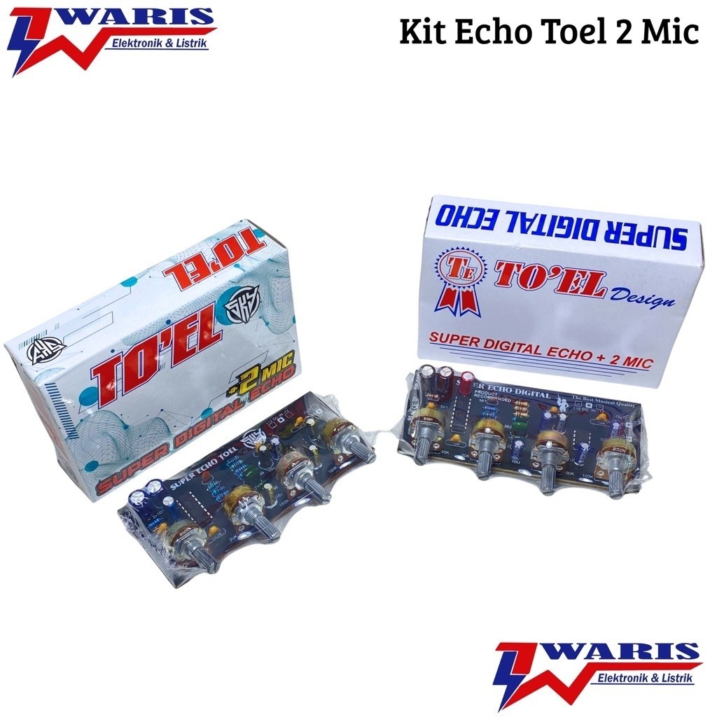 Kit Echo Toel 2 Mic