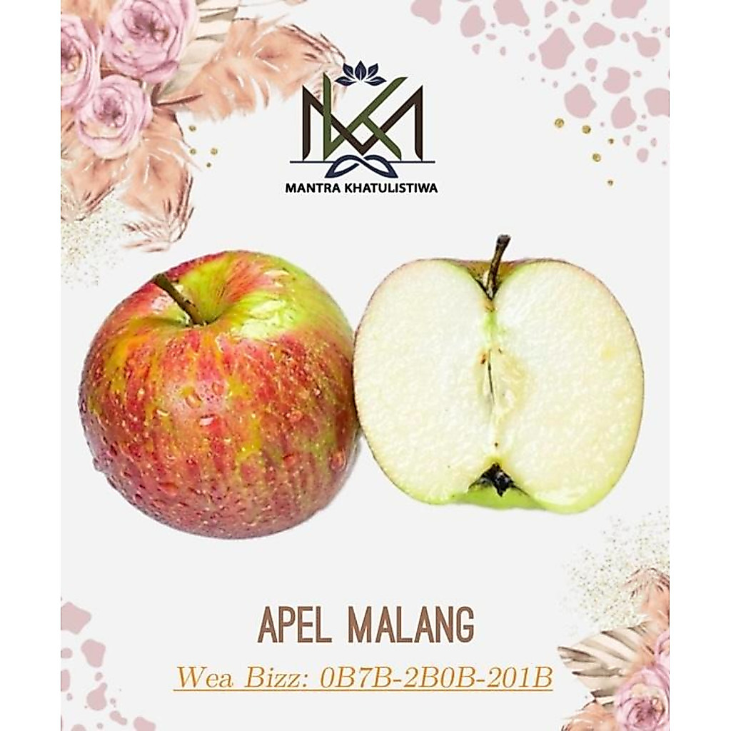 APEL MALANG ASLI APEL MALANG ASEM MANIS SEGAR