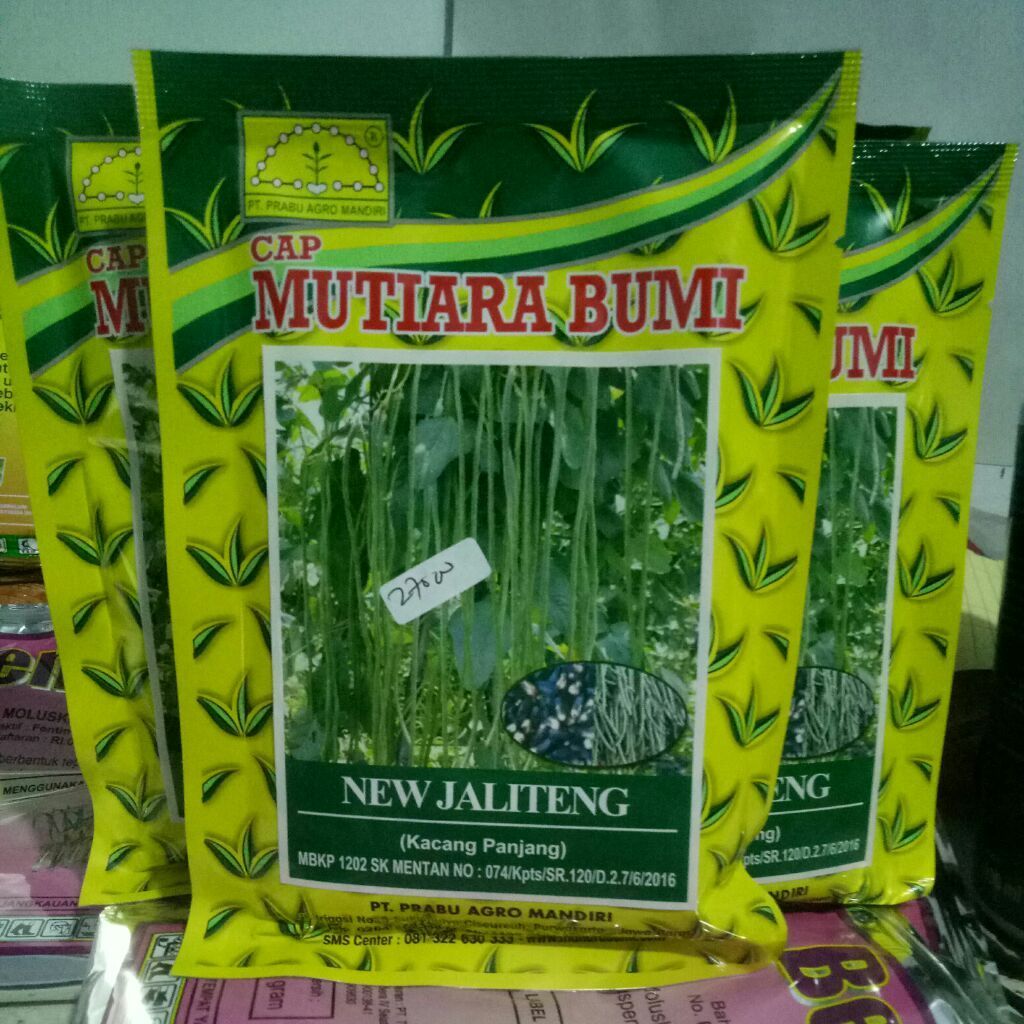 benih unggul kacang panjang new jaliteng isi 100 gram