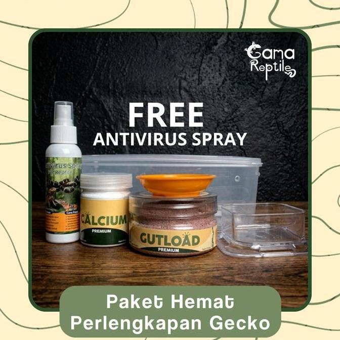 PAKET HEMAT PERLENGKAPAN LEOPARD GECKO & AFT