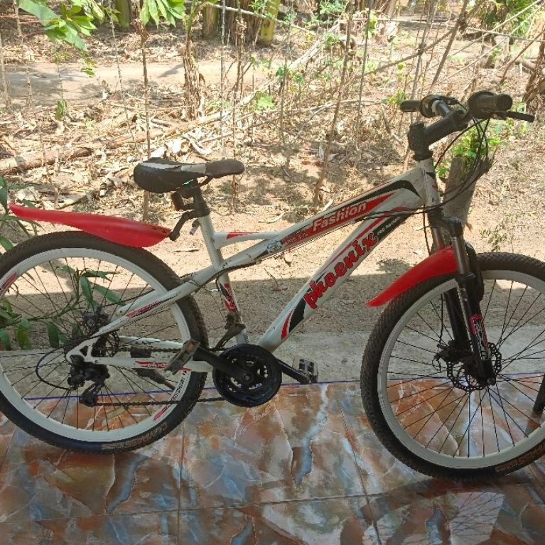 MTB Phoenix 26 inchi 2nd
