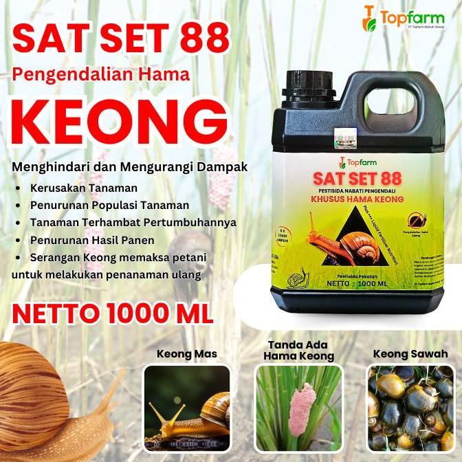 TERBARU Obat Keong Sawah Paling Ampuh / Obat Semprot Padi Hama Keong / Obat Hama Padi Keong / Obat K