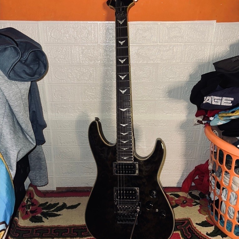 GitarListrikSchecter