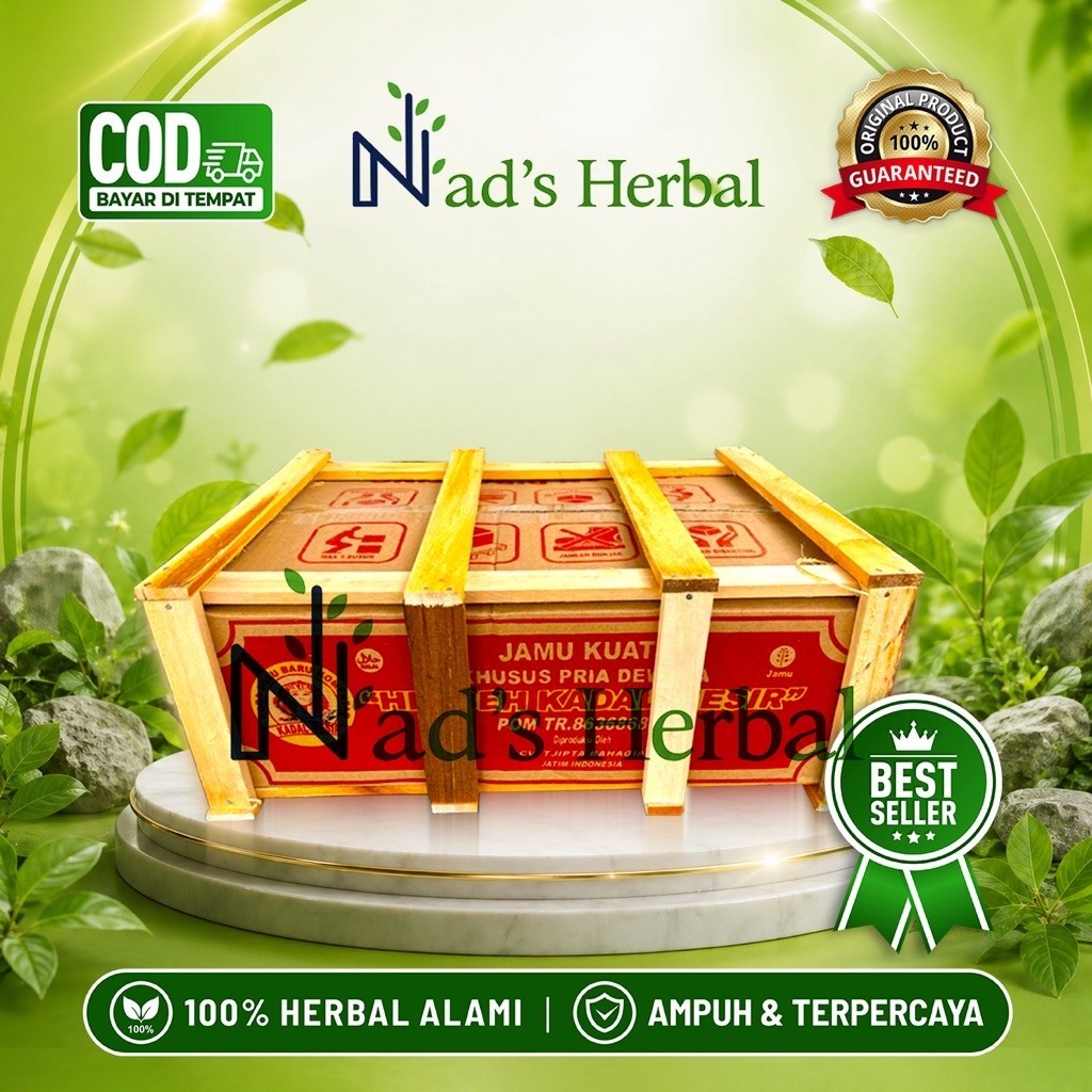 Kadal Mesir Besar Dos Original