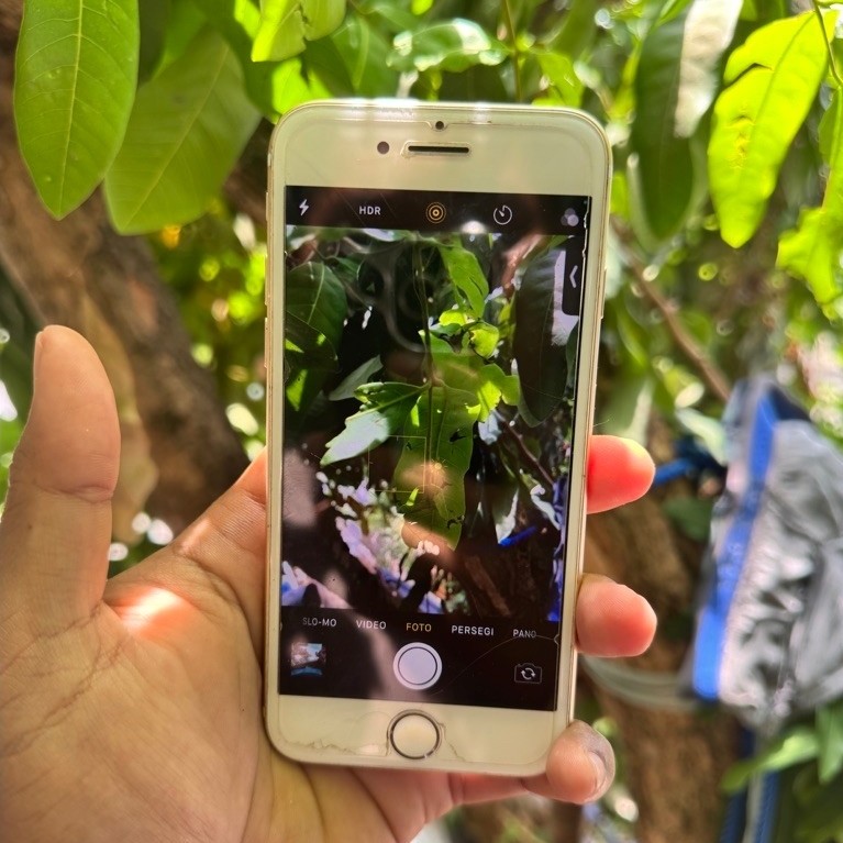 Iphone 7 32 Gb Inter Batangan Murah