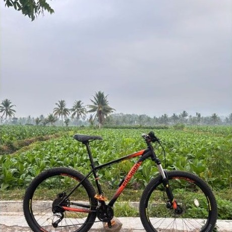 POLYGON PREMIER 5 TAHUN 2019