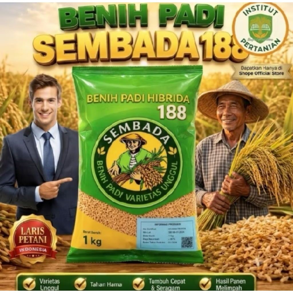 (2KG) BENIH PADI HIBRIDA SEMBADA 188 BENIH PADI VARIETAS UNGGUL