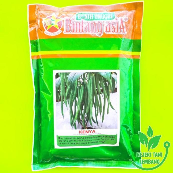Benih Buncis Kenya Isi 500 Gr Buncis Biji Putih