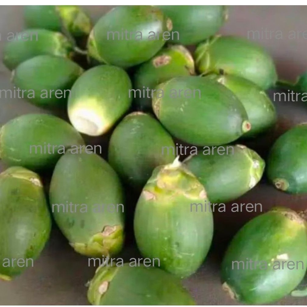 Promo COD Pinang/Jambe muda 1Kg