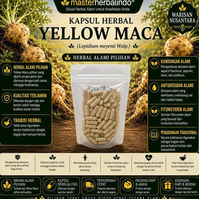 Farma- Kapsul Yellow Maca Ekstrak Herbal Curah Maca Root Akar Maca 100 Kapsul 600 Mg Lepidium Meyeni