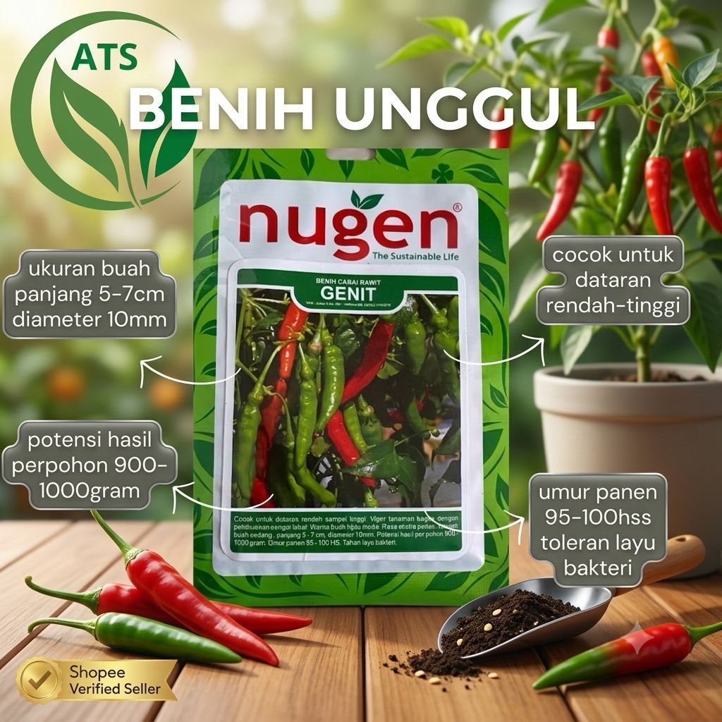 Benih Cabe Rawit GENIT 10gr NUGEN - Buah Super Lebat & Ekstra Pedas - Tahan Layu Bakteri - Bibit Cab
