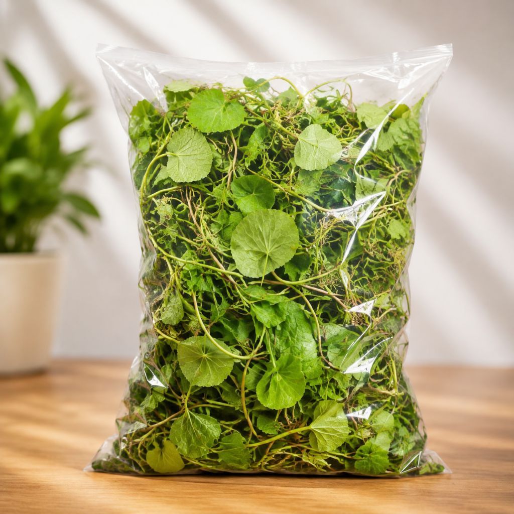 Pegagan segar rempah daun pegagan segar kemasan 500grm