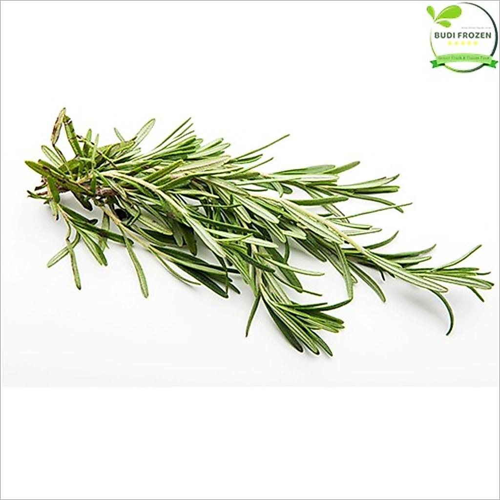 ROSEMARY FRESH / DAUN ROSEMARY SEGAR 50 GR