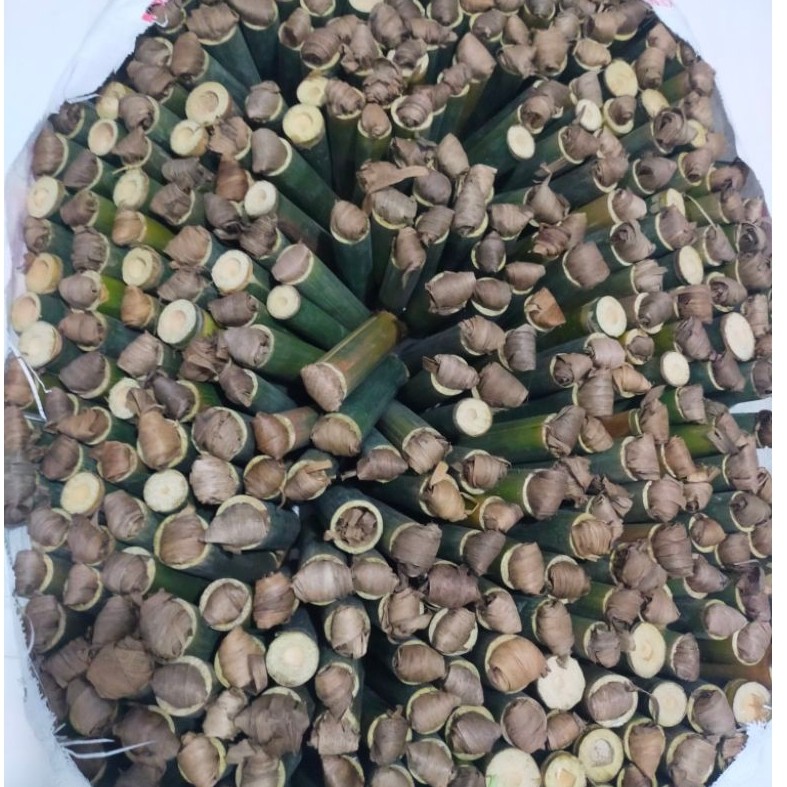 bumbung bambu isi ulat 35 ekor /umpan pancing