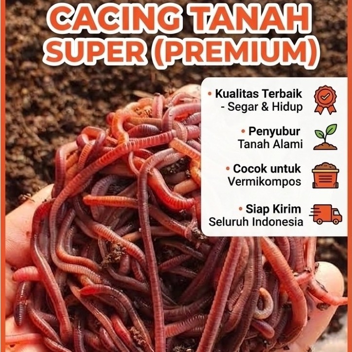 Cacing Tanah Segar ANC (African Nightcrawler)  - Cacing Hidup Super untuk Pakan Ikan, Umpan Pancing,