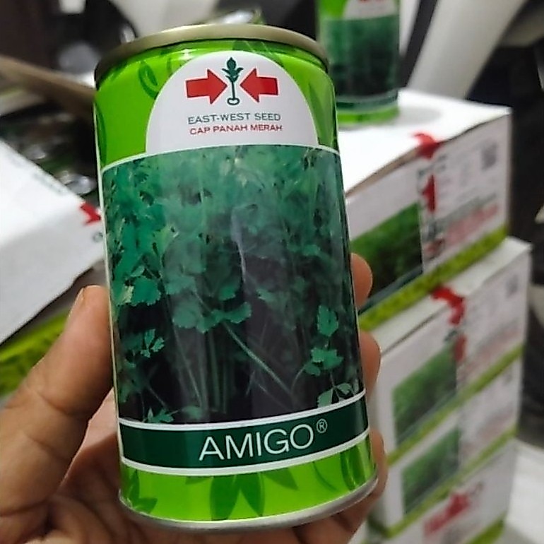 Benih Seledri Amigo 50gr Panah Merah Daya Tumbuh 80% Kemurnian 98% 12-15 Ton/Hektar
