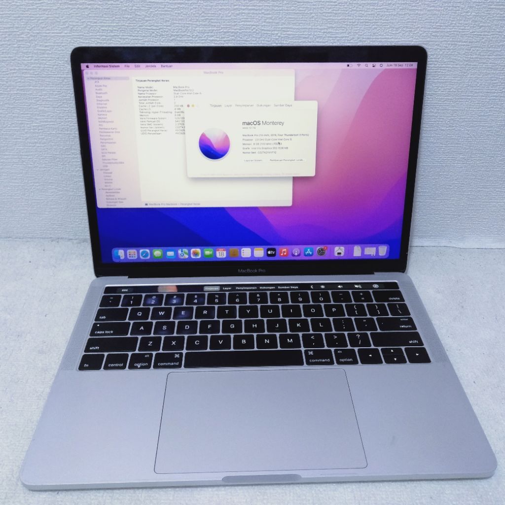 Macbook Pro 2013 Core i5 ram 8gb Intel iris graphics 550 1536 mb