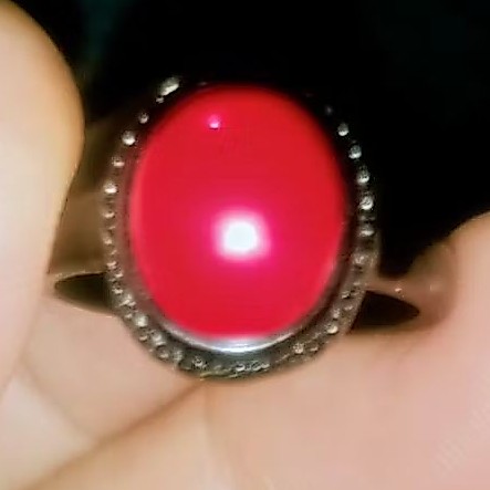Batu Mutiara Marjan Laut Merah. Asli