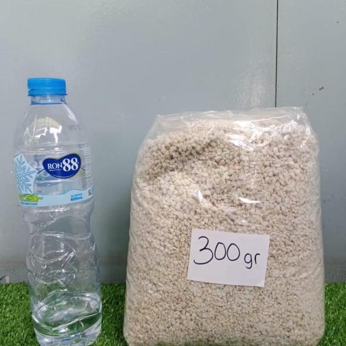 Perlite, media penetasan telur, ular, gecko, import, inkubator,
