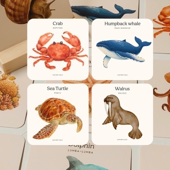 Wandernaut | sea animal flashcard | mainan edukasi anak | kartu flashcard