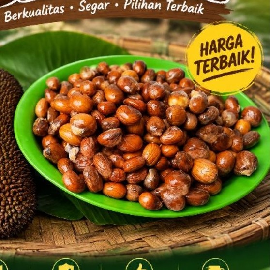 BIJI NANGKA CEMPEDAK/ BIJI BETON