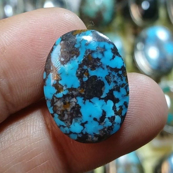 pirus persi
