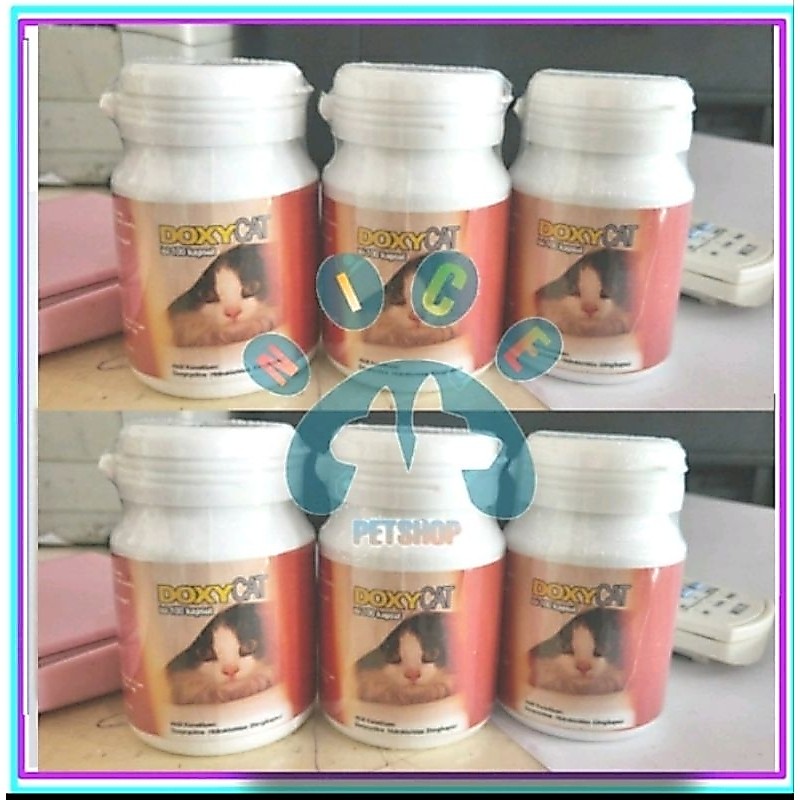IM doxy ecer 1 tablet obat flu kucing anti biotic