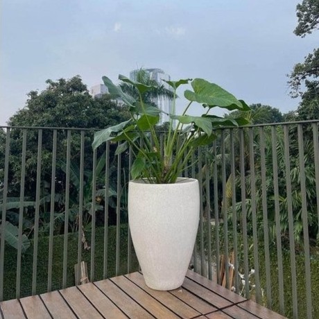 POt teraso Tinggi 70 cm