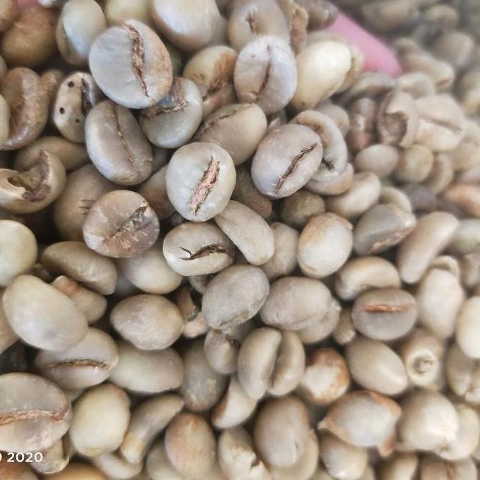 BIJI KOPI ROBUSTA MENTAH 1kg