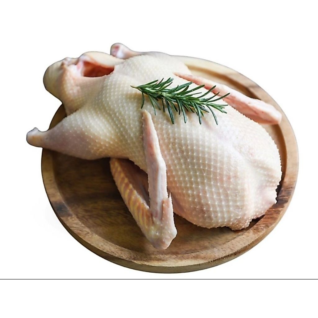 daging entok 1 ekor ukuran besar segar fresh frozen