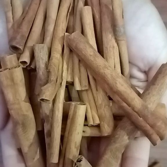 Kayu Manis Utuh / Kayu Manis Batang