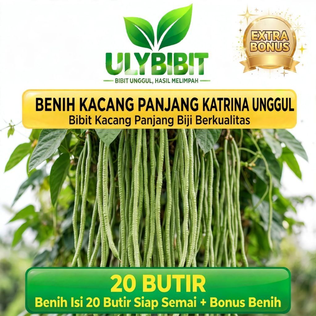 20 Butir > Benih Kacang Panjang katrina> Bibit Kacang Panjang Biji