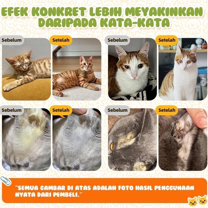 KLAOSANSHOP - CASSIEL PET ANTI VIRUS OBAT FIP KUCING FIP TABLET (FIP BASAH - FIP KERING - FIP NEURO)
