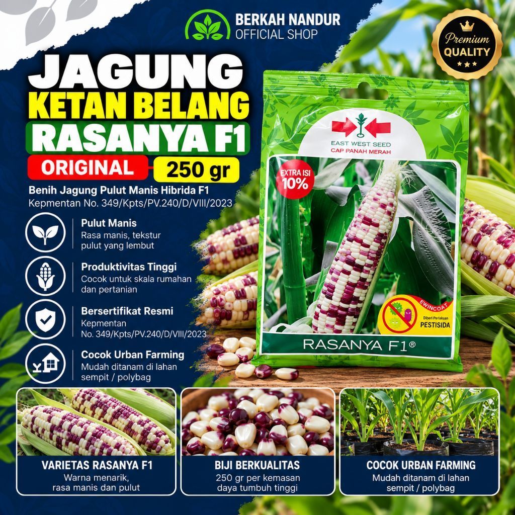 Original Benih Jagung Ketan Belang RASANYA Jagung Ketan Pulut