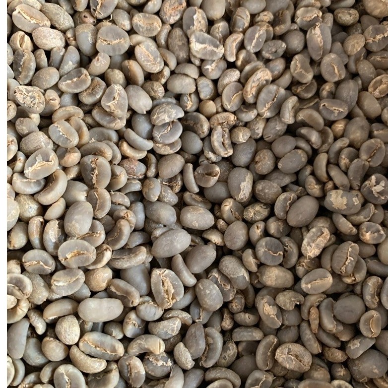 ARABICA GAYO GRADE 1 SEMIWASH GREENBEAN