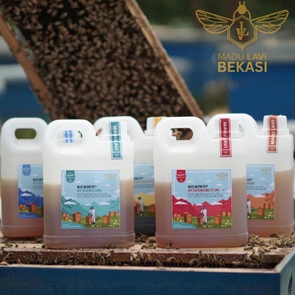 

(Terbaru) Madu Lavi Murni 500gram Madu Asli 100% Alami Nektar Pure Raw Honey Tanpa Proses (Terlaris)