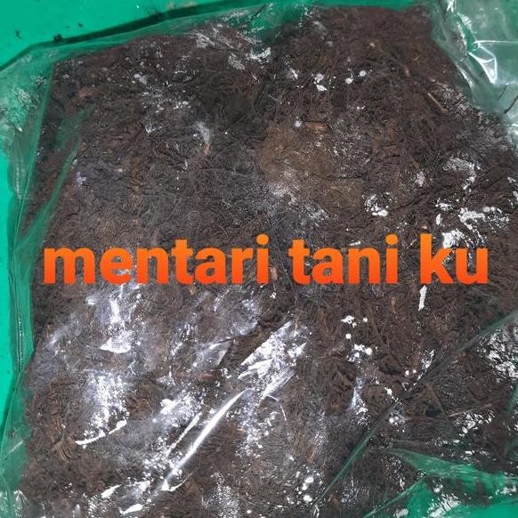 Media Tanam Akar Pakis Cacah Karung