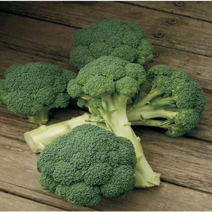 

[Cod] - 25 Biji - Benih Brokoli Ludy F1 - Benih Unggul Bibit Sayuran