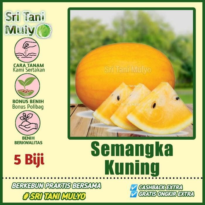 Cod - 5 Biji - Benih Semangka Kuning Unggul Inden F1 - Bibit Buah Semangka